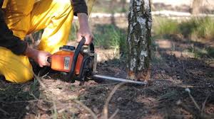 Best Lot and Land Clearing  in Fontana, CA