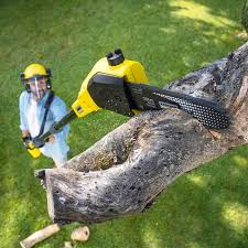 Best Pest Control for Lawns  in Fontana, CA