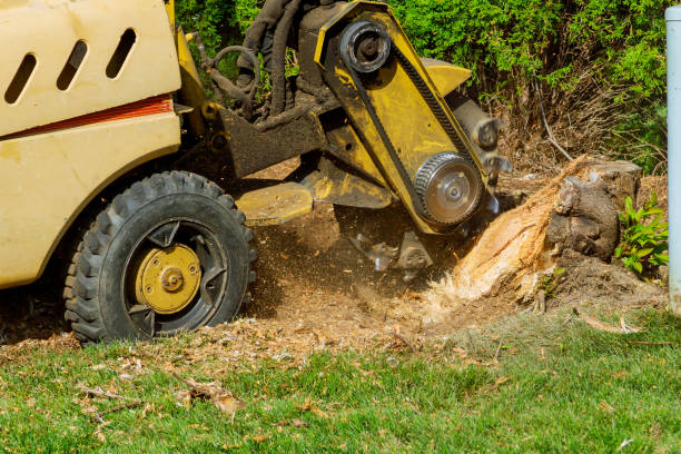 Best Landscape Design and Installation  in Fontana, CA