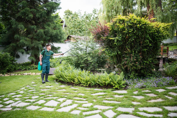 Artificial Turf Installation in Fontana, CA